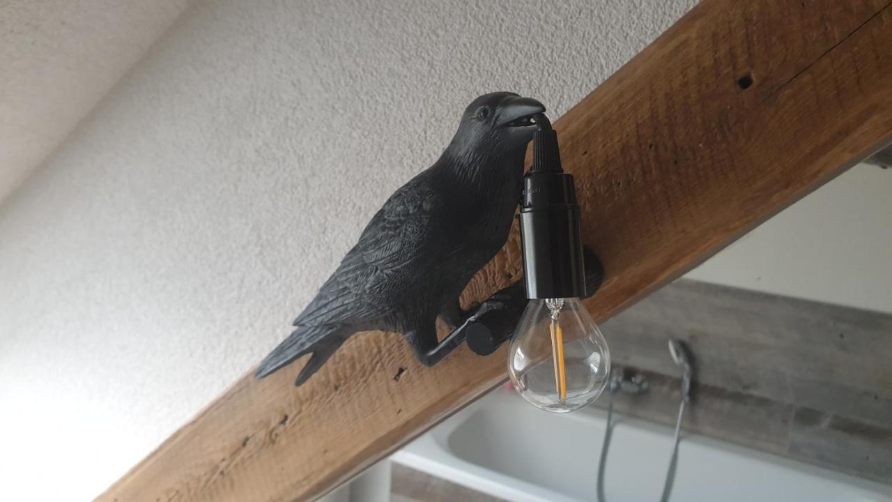 Seensucht & Urlaubstraeume, Ferienwohnung "Seeadler" Grossraeschen Dış mekan fotoğraf